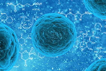 Công Nghệ Sinh Học