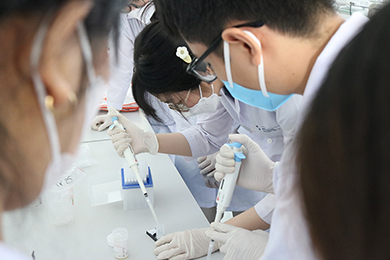 Đào tạo đại học